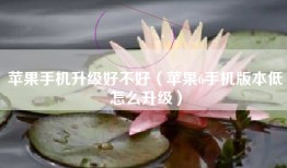 苹果手机升级好不好（苹果6手机版本低怎么升级）