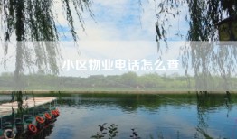 小区物业电话怎么查