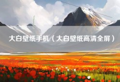 大白壁纸手机（大白壁纸高清全屏）