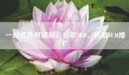 一站式外贸建站、谷歌SEO、谷歌SEM推广
