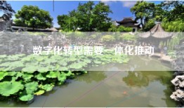 数字化转型需要一体化推动