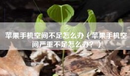 苹果手机空间不足怎么办（苹果手机空间严重不足怎么办？）