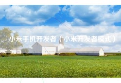 小米手机开发者（小米开发者模式）