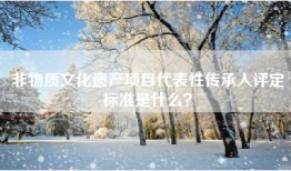 非物质文化遗产项目代表性传承人评定标准是什么？