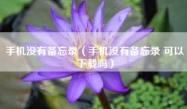 手机没有备忘录（手机没有备忘录 可以下载吗）