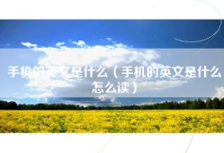 手机的英文是什么（手机的英文是什么怎么读）