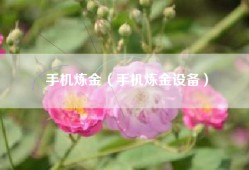 手机炼金（手机炼金设备）