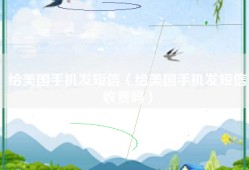 给美国手机发短信（给美国手机发短信收费吗）