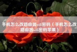 手机怎么改路由器wifi密码（手机怎么改路由器wifi密码苹果）
