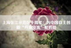 上海张江示范区十周年：为中国自主创新“开源浚流”聚势能