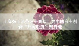 上海张江示范区十周年：为中国自主创新“开源浚流”聚势能