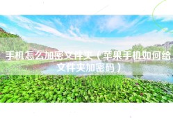 手机怎么加密文件夹（苹果手机如何给文件夹加密码）