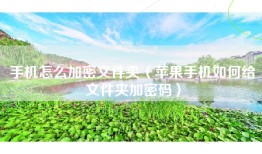 手机怎么加密文件夹(苹果手机如何给文件夹加密码)