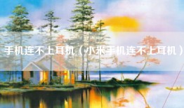 手机连不上耳机（小米手机连不上耳机）