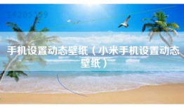 手机设置动态壁纸（小米手机设置动态壁纸）