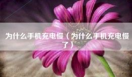为什么手机充电慢（为什么手机充电慢了）