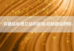 自建站和独立站的区别(自助建站好吗)