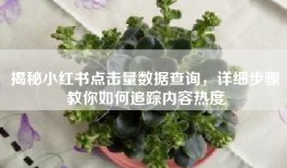 揭秘小红书点击量数据查询，详细步骤教你如何追踪内容热度