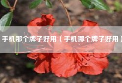 手机那个牌子好用（手机哪个牌子好用）