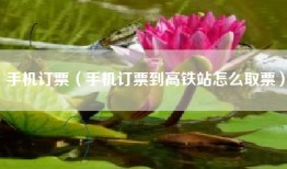 手机订票（手机订票到高铁站怎么取票）