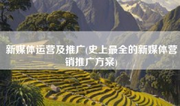 新媒体运营及推广(史上最全的新媒体营销推广方案)