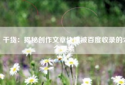 干货：揭秘创作文章快速被百度收录的5个要素