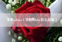手机wifidns（手机wifidns怎么设置）