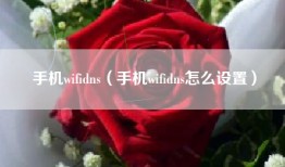 手机wifidns（手机wifidns怎么设置）