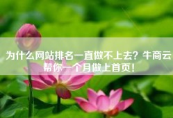 为什么网站排名一直做不上去？牛商云帮你一个月做上首页！