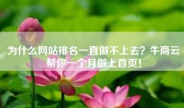 为什么网站排名一直做不上去？牛商云帮你一个月做上首页！