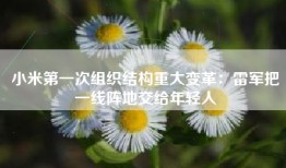 小米第一次组织结构重大变革：雷军把一线阵地交给年轻人