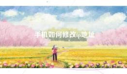 手机如何修改ip地址