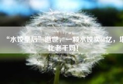 “水饺皇后”逝世，一颗水饺卖60亿，堪比老干妈！