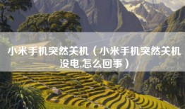 小米手机突然关机（小米手机突然关机没电,怎么回事）
