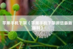 苹果手机下架（苹果手机下架微信最新爆料）