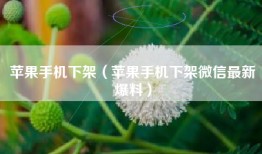 苹果手机下架（苹果手机下架微信最新爆料）