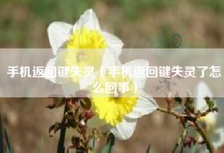 手机返回键失灵（手机返回键失灵了怎么回事）
