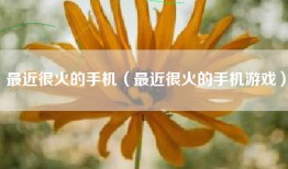 最近很火的手机（最近很火的手机游戏）