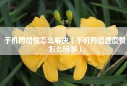 手机网络慢怎么解决（手机网络速度慢怎么回事）
