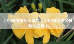 手机网络慢怎么解决（手机网络速度慢怎么回事）