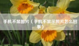 手机不显图片（手机不显示照片怎么回事）