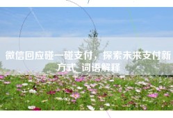 微信回应碰一碰支付，探索未来支付新方式_词语解释