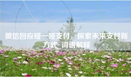 微信回应碰一碰支付，探索未来支付新方式_词语解释
