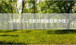 wo手机（wo手机价格新款多少钱）