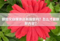 做图文自媒体还有前景吗？怎么才能做好内容？