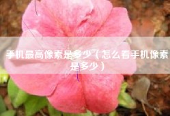 手机最高像素是多少（怎么看手机像素是多少）