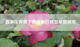 数字化背景下商业银行转型策略研究