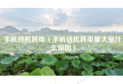 手机待机耗电（手机待机耗电量大是什么原因）