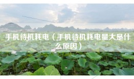 手机待机耗电（手机待机耗电量大是什么原因）