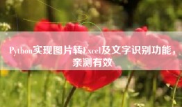 Python实现图片转Excel及文字识别功能，亲测有效